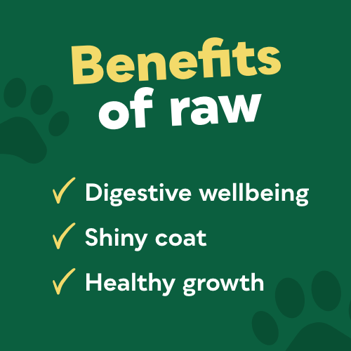 Benefits of raw deals feeding dogs